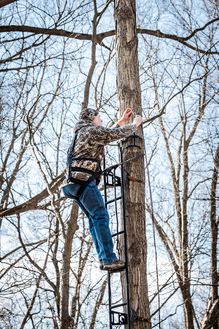 Tree Ladder