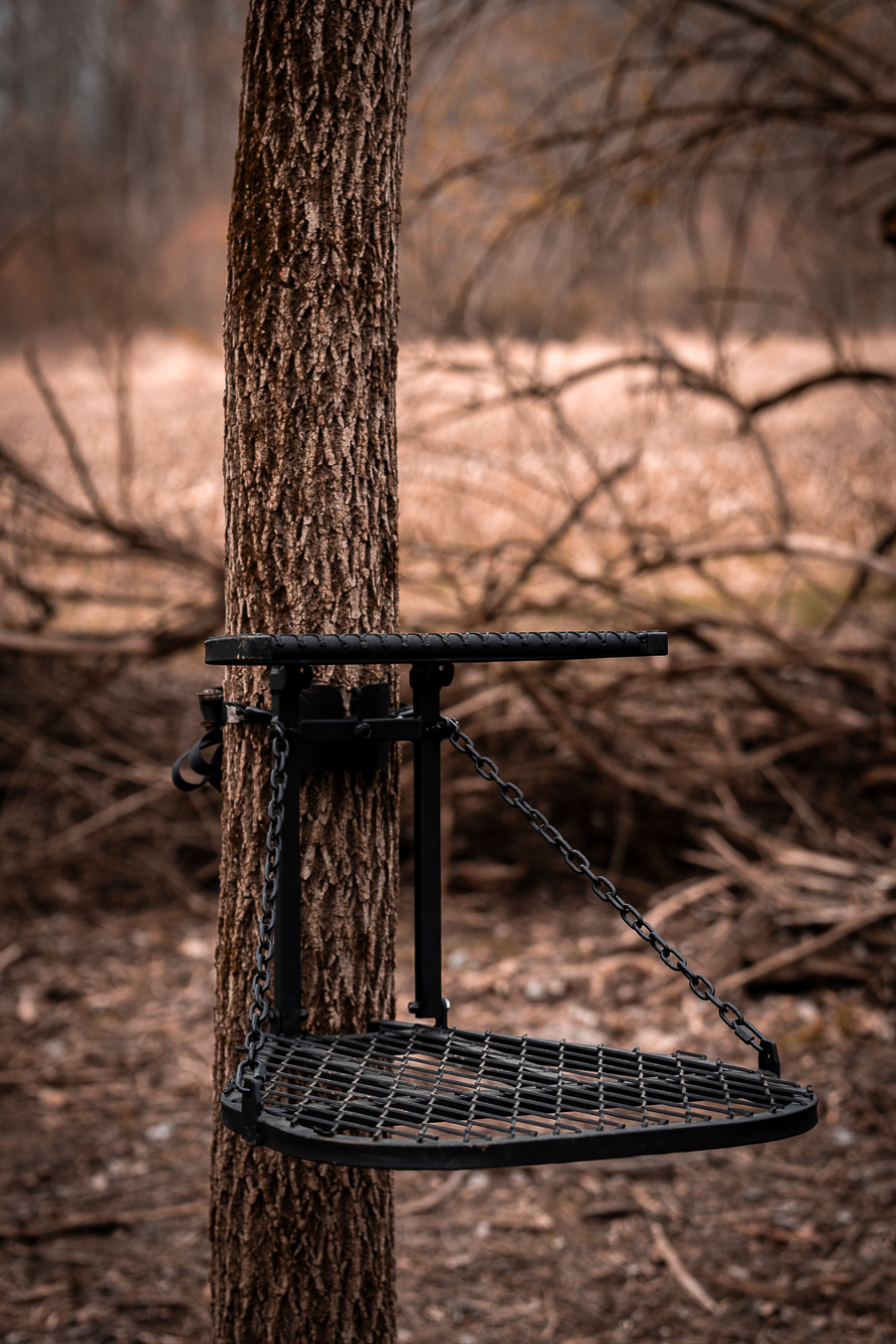 Eagle Hang On Treestand